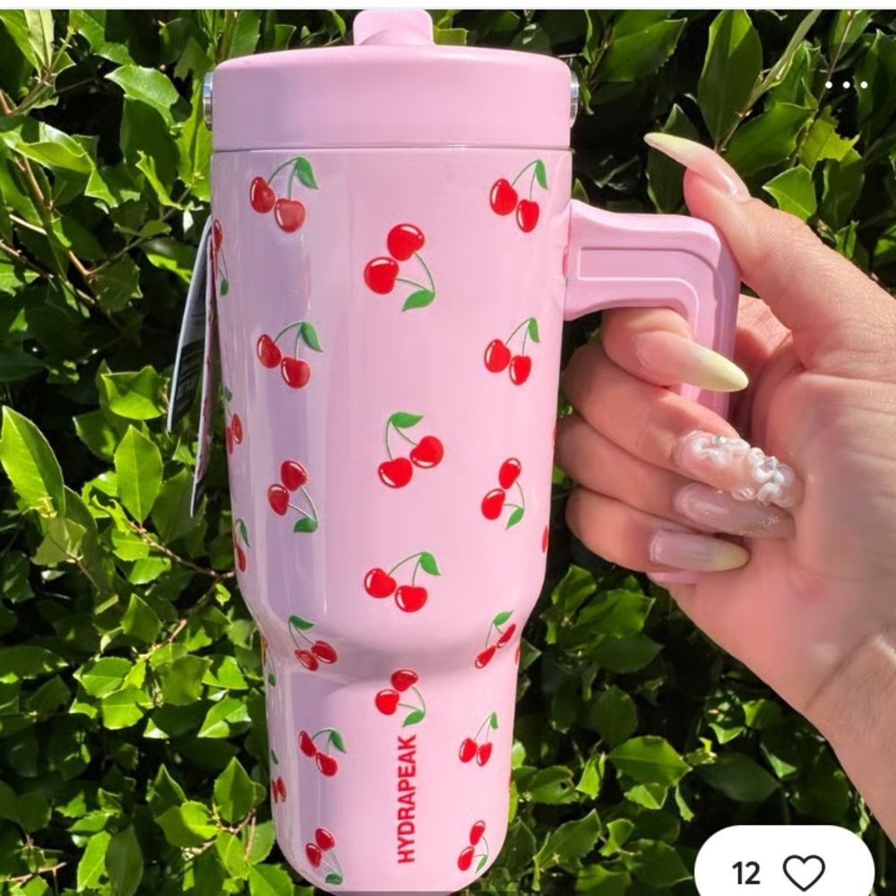 New Hydrapeak Voyager 18oz Tumbler Handle Stainless Steel bottle cherry & pink⭐️ - Picture 13 of 17